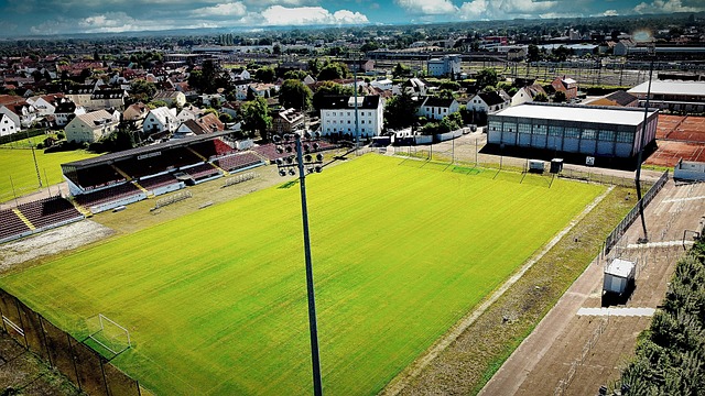 同时也体现 同时也体现