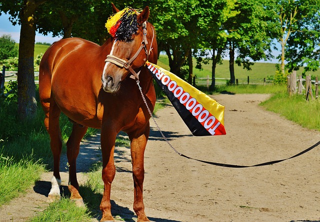 足協對尼紮 足協對尼紮