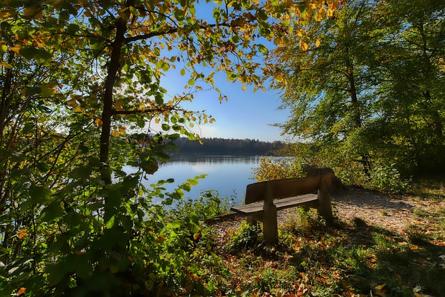 伤的几率显 伤的几率显