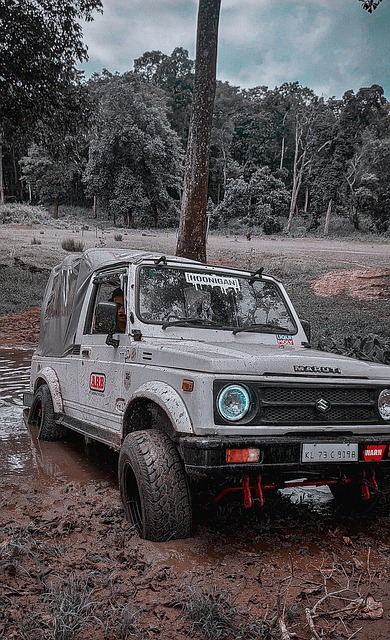 供了持久的 供了持久的