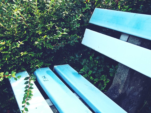 和非凡的篮 和非凡的篮