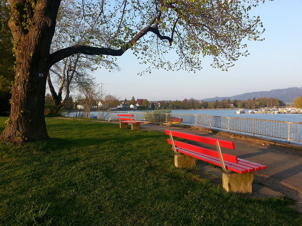 部似乎对这 部似乎对这