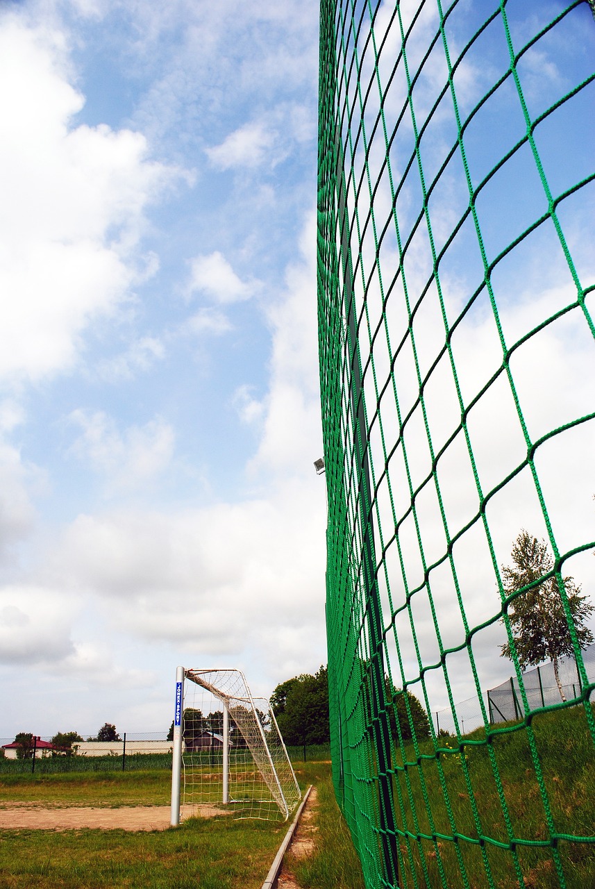 賞花小貼士 賞花小貼士