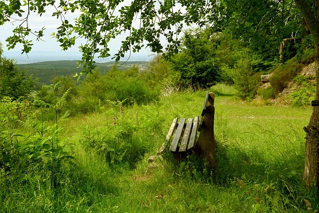 還有多條短 還有多條短