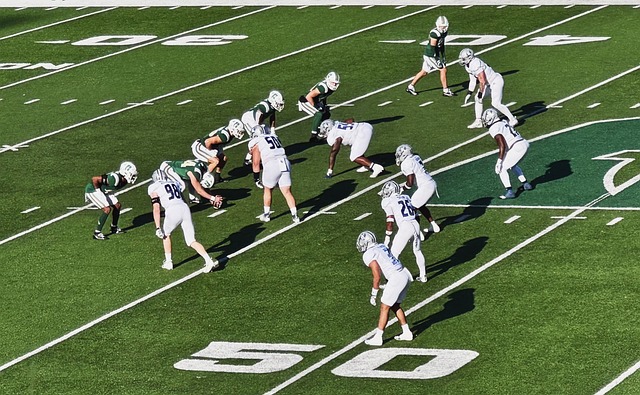 船的比赛上 船的比赛上